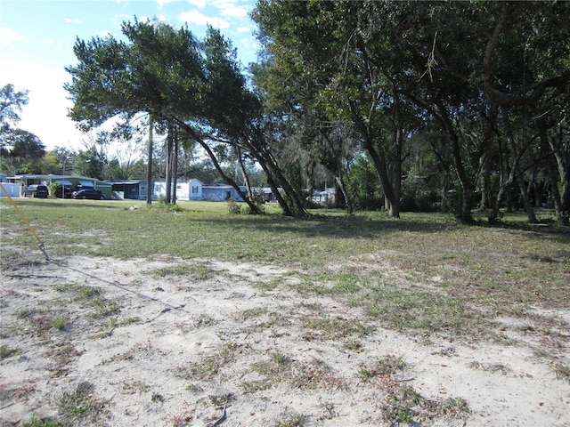 Listing photo 2 for 6718 N Rome Ave, Tampa FL 33604