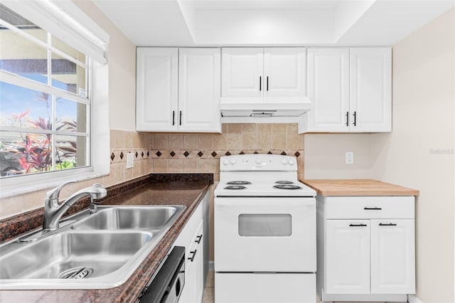 kitchen with under cabinet range hood, electric range, tasteful backsplash, and a sink