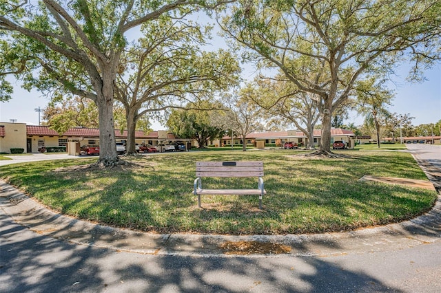 view of community featuring a yard