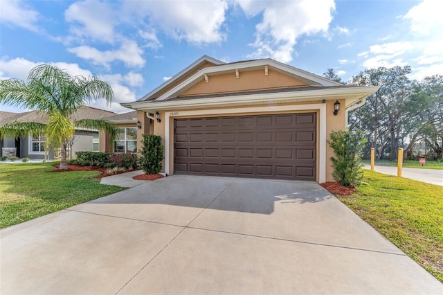 view of front of house with a front yard