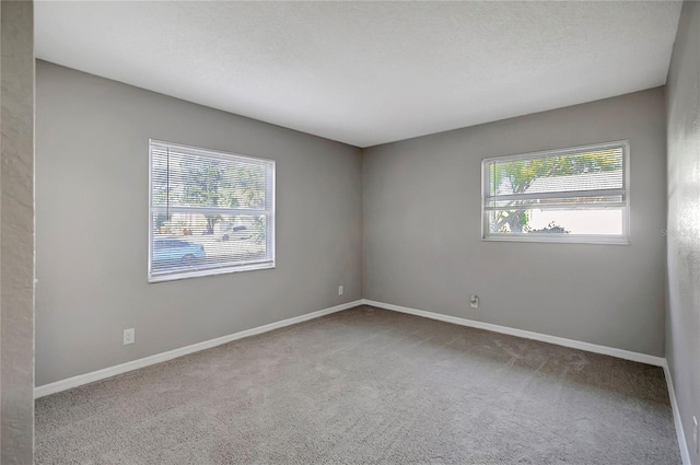 spare room featuring a textured ceiling, carpet floors, and a healthy amount of sunlight