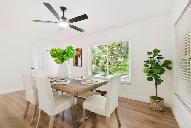 dining space featuring ceiling fan and light hardwood / wood-style floors