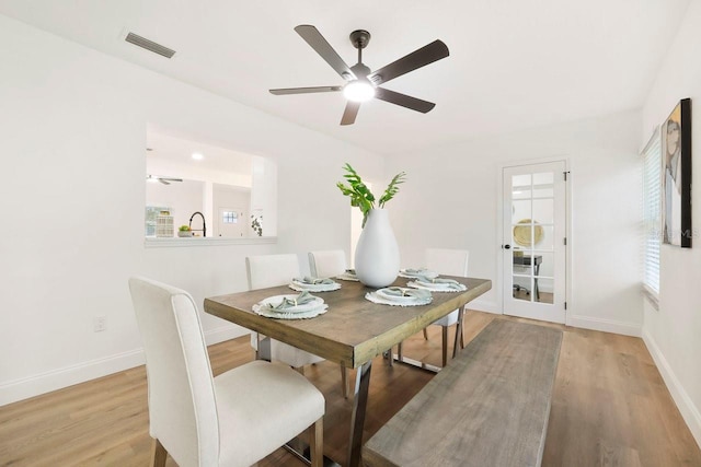 dining room with sink, a wealth of natural light, ceiling fan, and light wood-type flooring