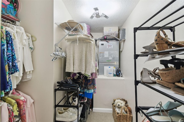 spacious closet with carpet floors
