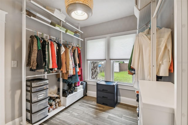 spacious closet with hardwood / wood-style flooring