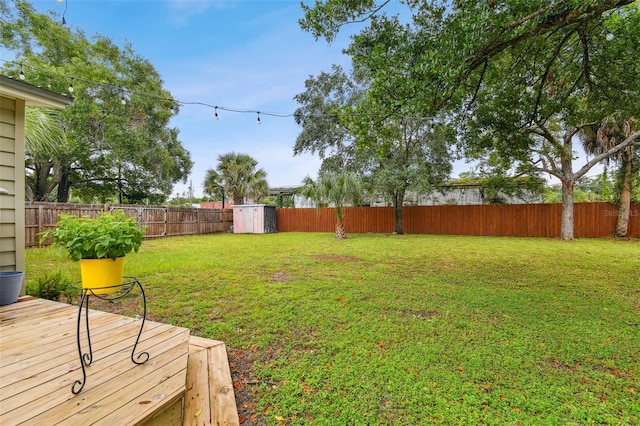 view of yard featuring a deck and a shed