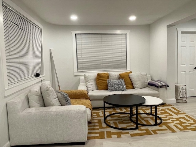 living room with light wood-type flooring