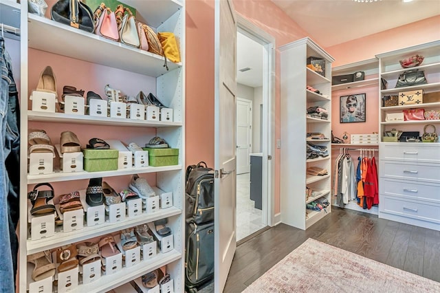 walk in closet with dark wood finished floors