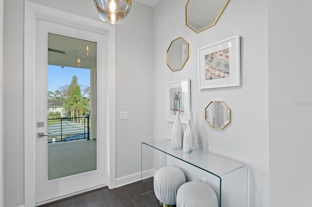 5004 S The Riviera, Tampa, FL 33609 - doorway to outside featuring baseboards and dark wood finished floors
