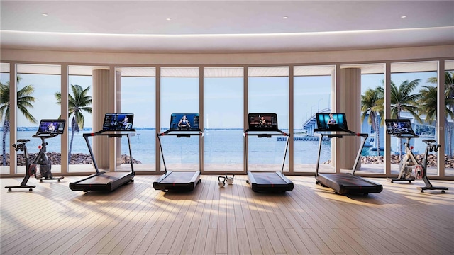 gym featuring a water view, a healthy amount of sunlight, and hardwood / wood-style floors