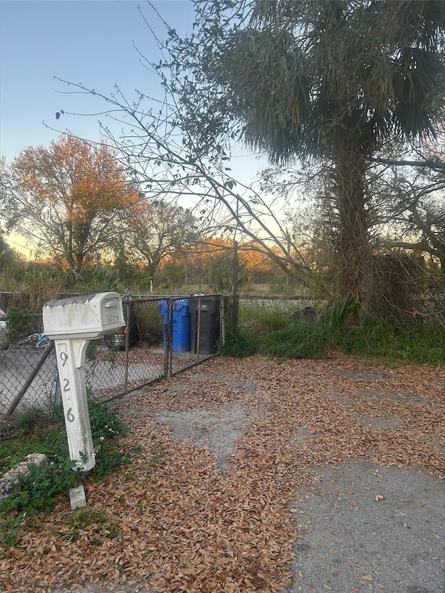 view of yard at dusk