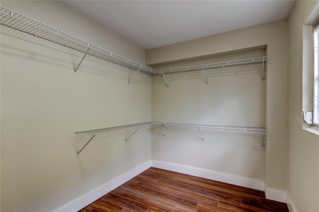 2901 Pelham Rd N, Saint Petersburg, FL 33710 - photo 23