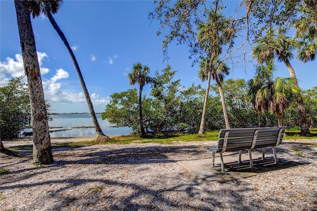 2901 Pelham Rd N, Saint Petersburg, FL 33710 - photo 52