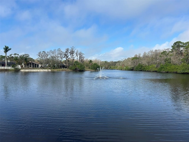 view of water feature