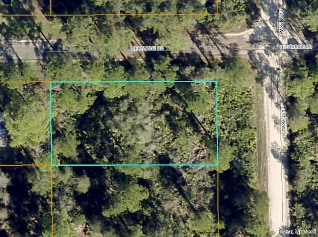 Listing photo 3 for TBD E Parkway, Deland FL 32724