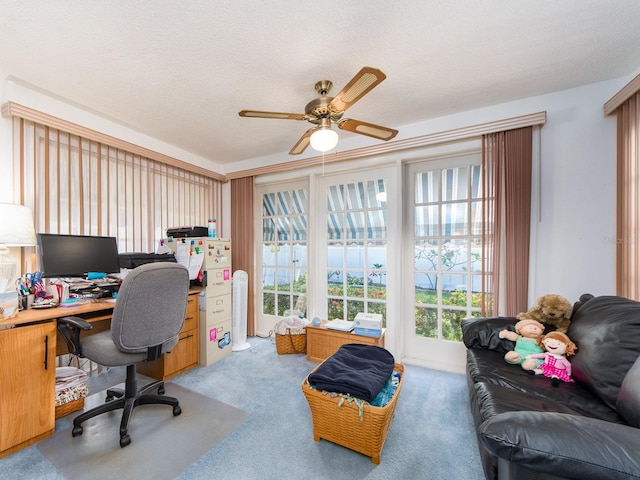 2893 Turtle Ter, Palm Harbor, FL 34683 - home office with healthy amount of natural light, light carpet, and ceiling fan