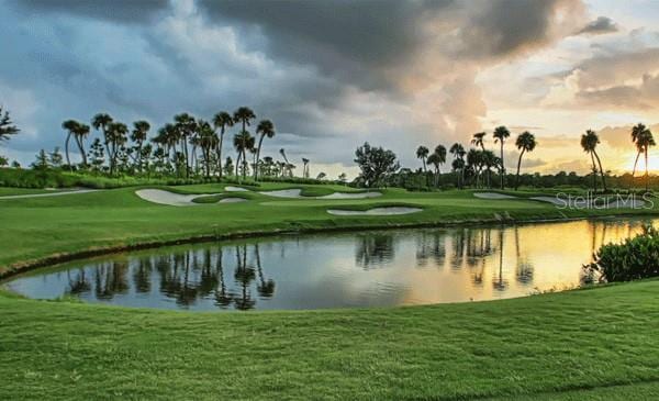 2893 Turtle Ter, Palm Harbor, FL 34683 - surrounding community featuring a water view, golf course view, and a lawn