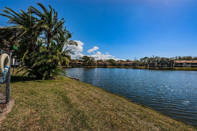 256 Cypress Ln Unit 120, Oldsmar, FL 34677 - water view