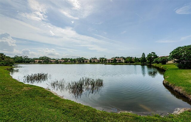 256 Cypress Ln Unit 120, Oldsmar, FL 34677 - water view