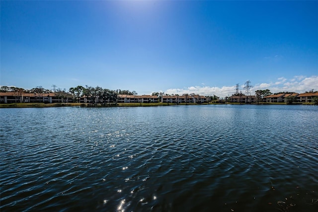 256 Cypress Ln Unit 120, Oldsmar, FL 34677 - water view