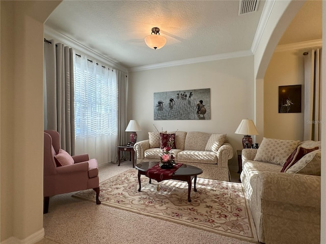 carpeted living room with crown molding and a textured ceiling