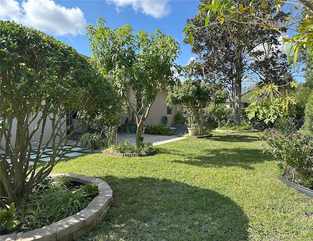 view of yard featuring a patio