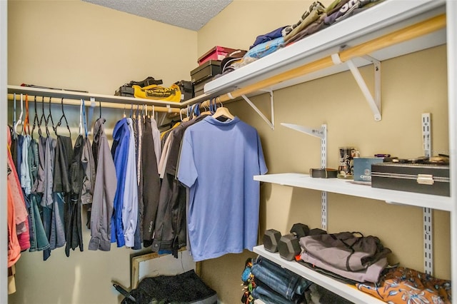 view of spacious closet