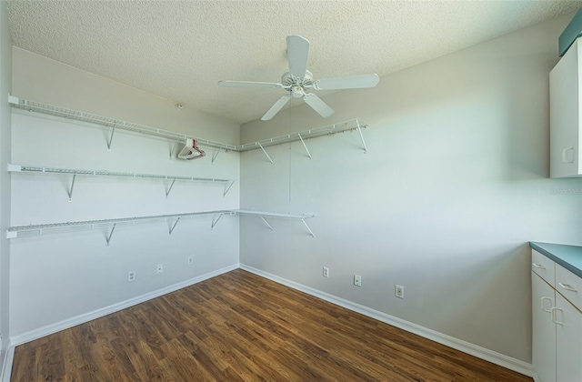 spacious closet featuring dark wood-type flooring and a ceiling fan