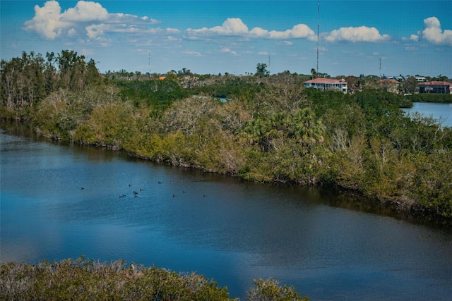 view of water feature