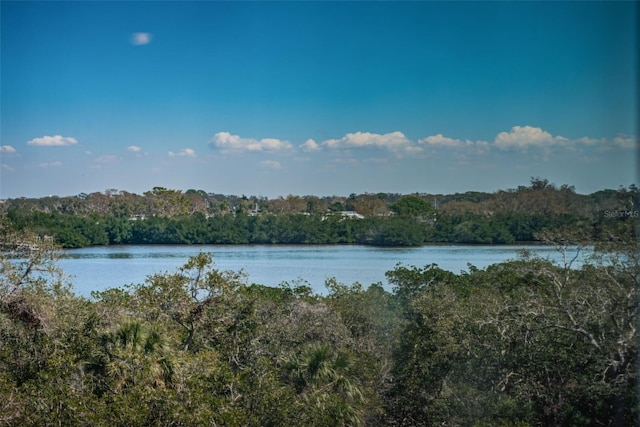 water view with a forest view