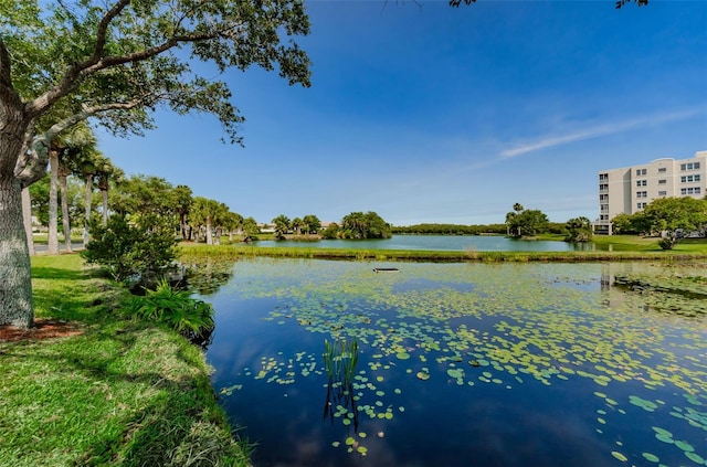 property view of water