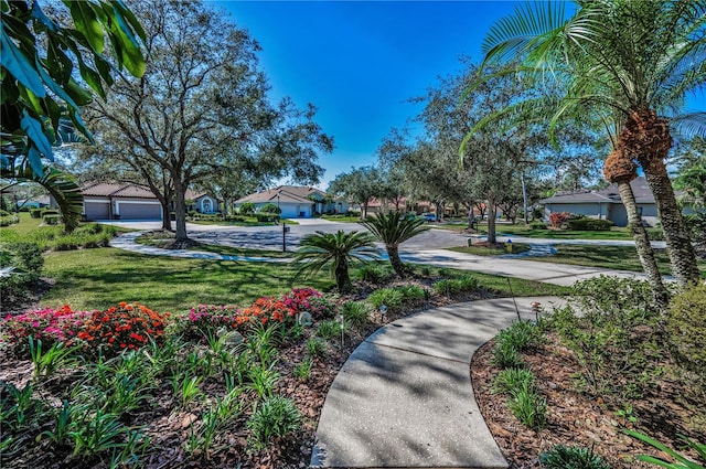 surrounding community featuring a lawn