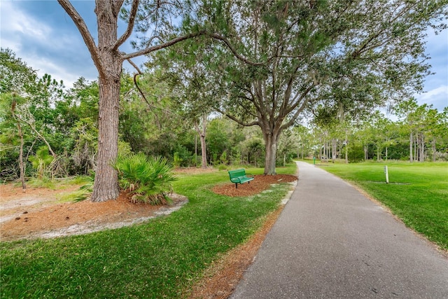 view of community with a lawn