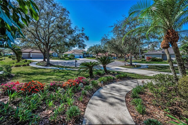 9101 Highland Ridge Way, Tampa, FL 33647 - view of yard with a residential view