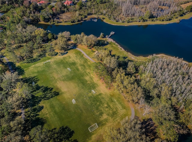 9101 Highland Ridge Way, Tampa, FL 33647 - drone / aerial view with a water view and a view of trees