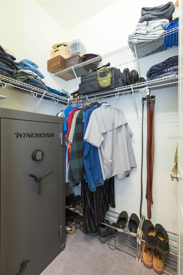 view of walk in closet