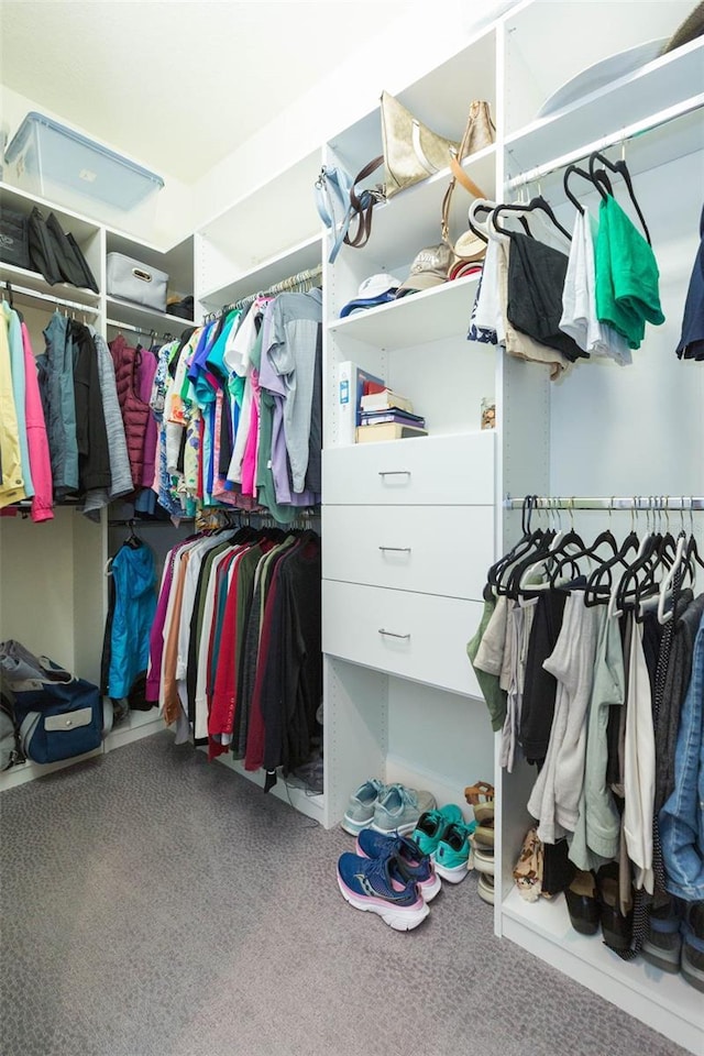 walk in closet featuring carpet flooring