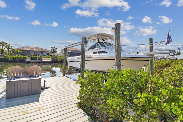 dock area with a water view