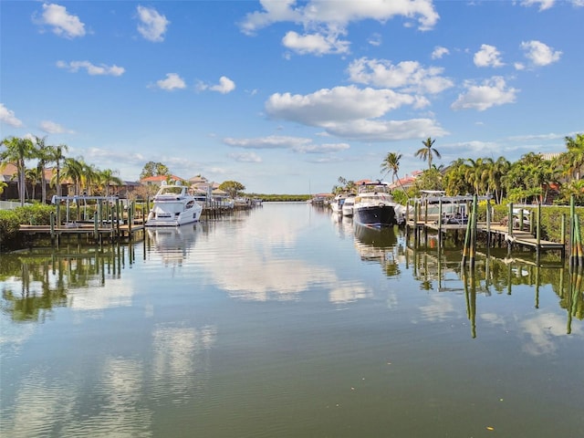 dock area featuring a water view