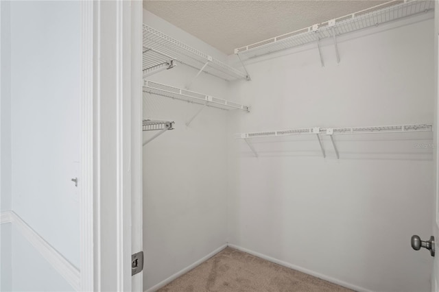 walk in closet with carpet