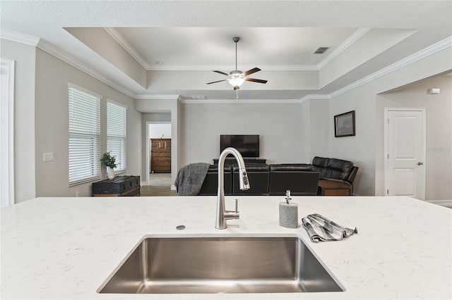 kitchen featuring a raised ceiling, a sink, and light stone countertops