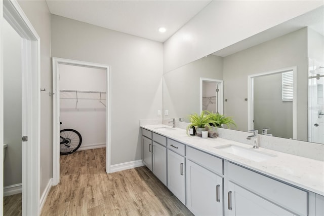 bathroom featuring double vanity, wood finished floors, a spacious closet, and a sink