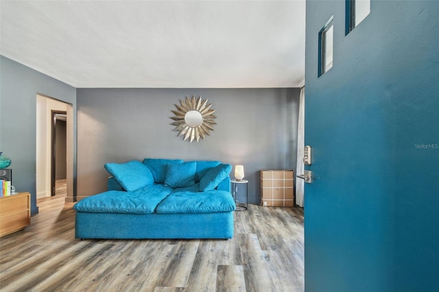 living room with wood-type flooring