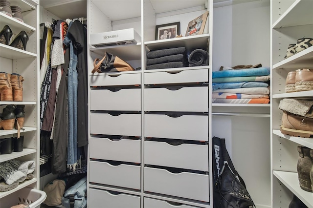 view of spacious closet