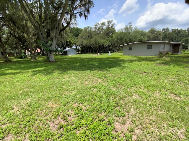 3223 Coats Rd, Zephyrhills, FL 33541 - view of green lawn with a shed and view of wooded area