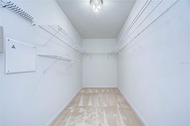 18126 Kara Ct, Tampa, FL 33647 - walk in closet featuring carpet