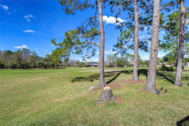 18126 Kara Ct, Tampa, FL 33647 - view of grassy yard featuring view of golf course