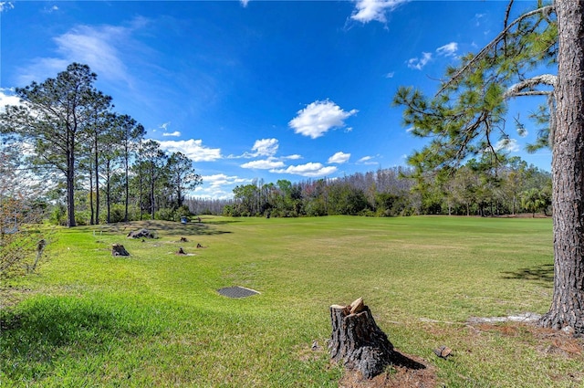 18126 Kara Ct, Tampa, FL 33647 - view of green lawn featuring view of golf course and view of scattered trees