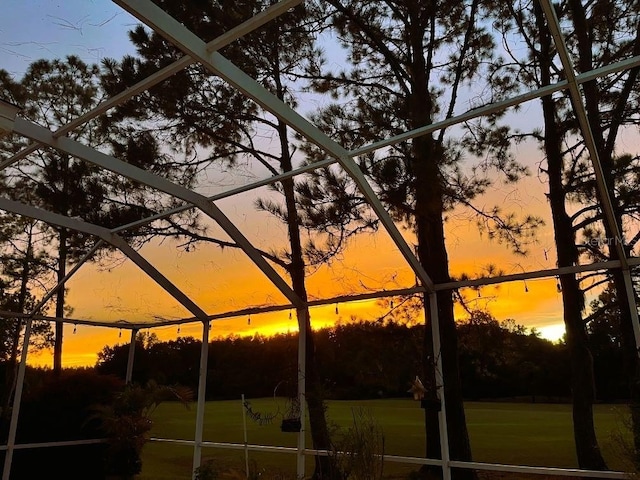 18126 Kara Ct, Tampa, FL 33647 - view of nature at dusk