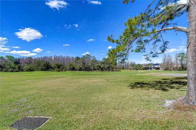 18126 Kara Ct, Tampa, FL 33647 - view of green lawn with golf course view and view of wooded area